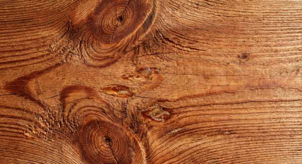 Beautiful larch wood grain close-up